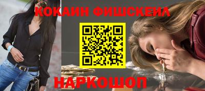 крисы Пенза