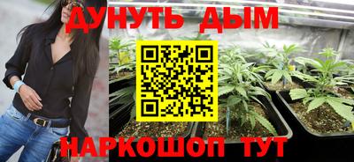 apvp Обнинск