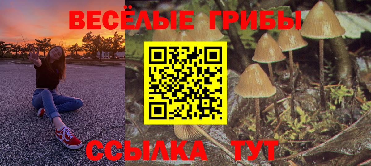 Галлюциногенные грибы Cubensis Сегежа