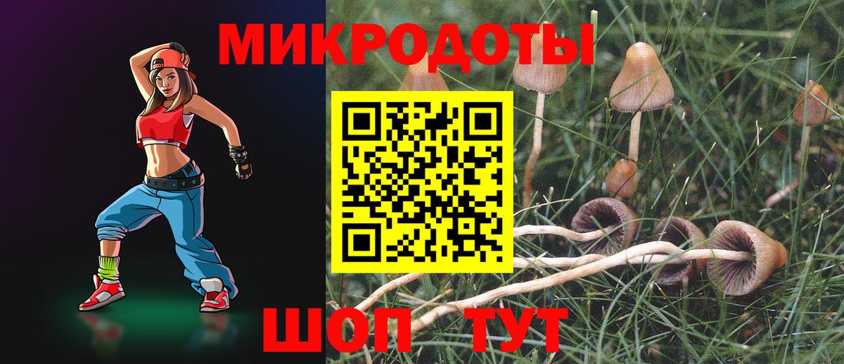 Псилоцибиновые грибы Psilocybe  Вход с VPN  Сегежа 